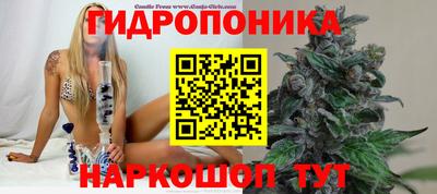 каннабис Волжский