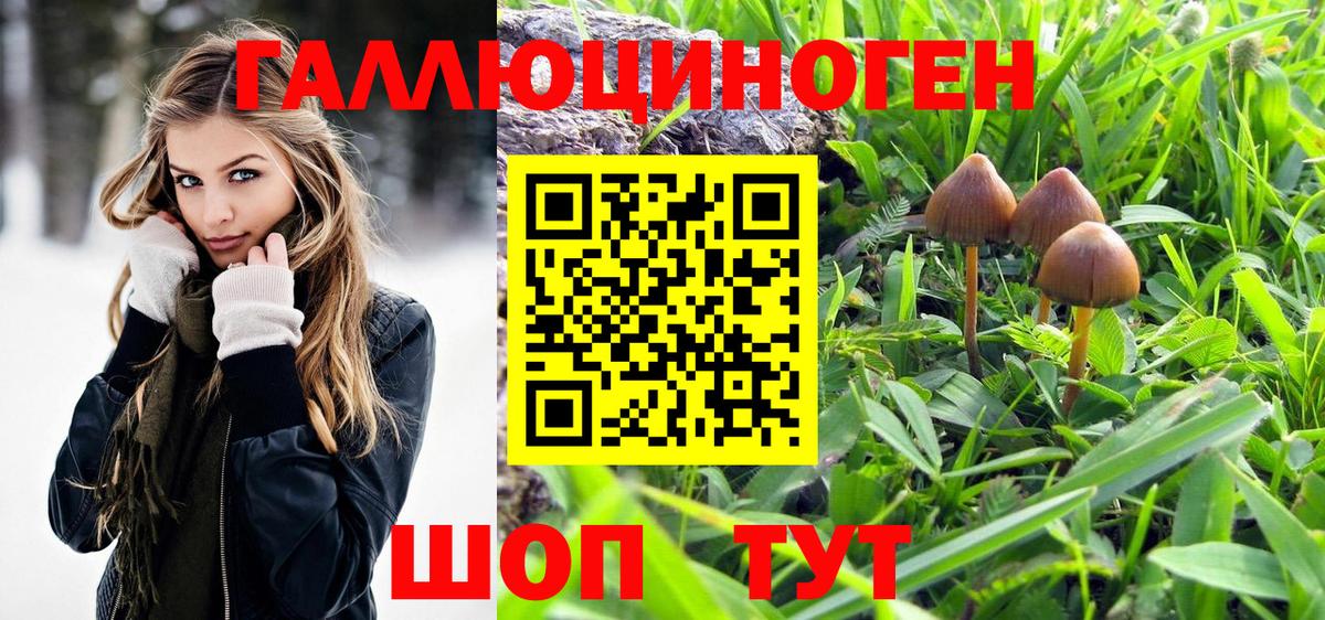 Галлюциногенные грибы Magic Shrooms  Псилоцибиновые грибы мицелий  Вход с VPN  Слободской 